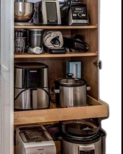 WhatsApp Image 2026-03-17 at 8.25.03 PM (3)